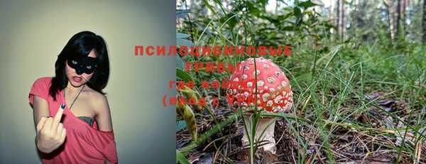 амф Медвежьегорск