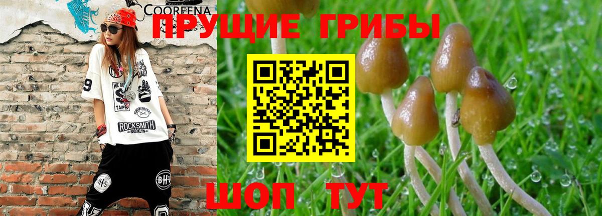 Псилоцибиновые грибы Magic Shrooms  Галлюциногенные грибы GOLDEN TEACHER  Вход с VPN  Тюмень 